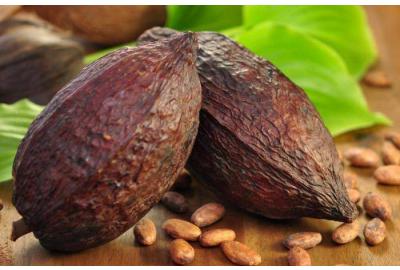 Witaminy i dobroczynne właściwości kakao
